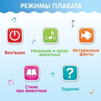 Говорящий электронный плакат «Морской мир», звуковые эффекты Говорящий электронный плакат «Морской мир», звуковые эффекты