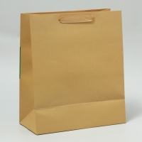 Пакет подарочный, упаковка, &laquo;Мечтай&raquo;, ML 23 х 27 х 11.5 см