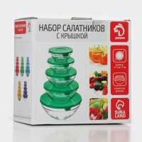 Набор стеклянных салатников с крышками Доляна &laquo;Классика&raquo;, 5 предметов: 100 мл, 200 мл, 300 мл, 400 мл, 850 мл, цвет фиолетовый