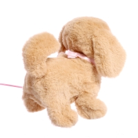 Интерактивная игрушка &laquo;Мой дружок&raquo;, звук, ходит, управление с пульта, МИКС