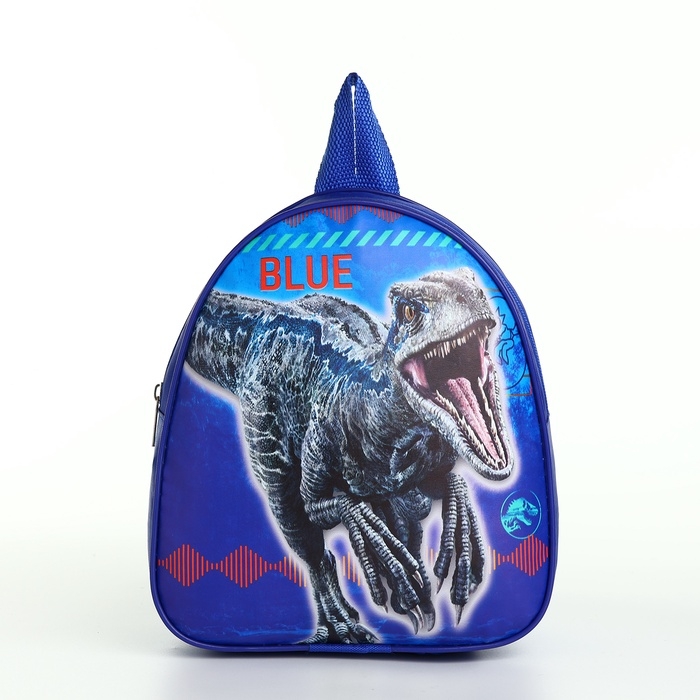 Рюкзак детский на молнии "Выбражулька", цвет синий