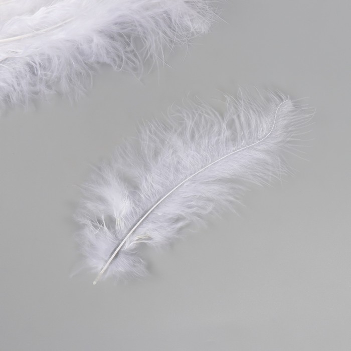 Перо декоративное гусиное пуховое "Белое" набор 40 шт h=10-15 см
