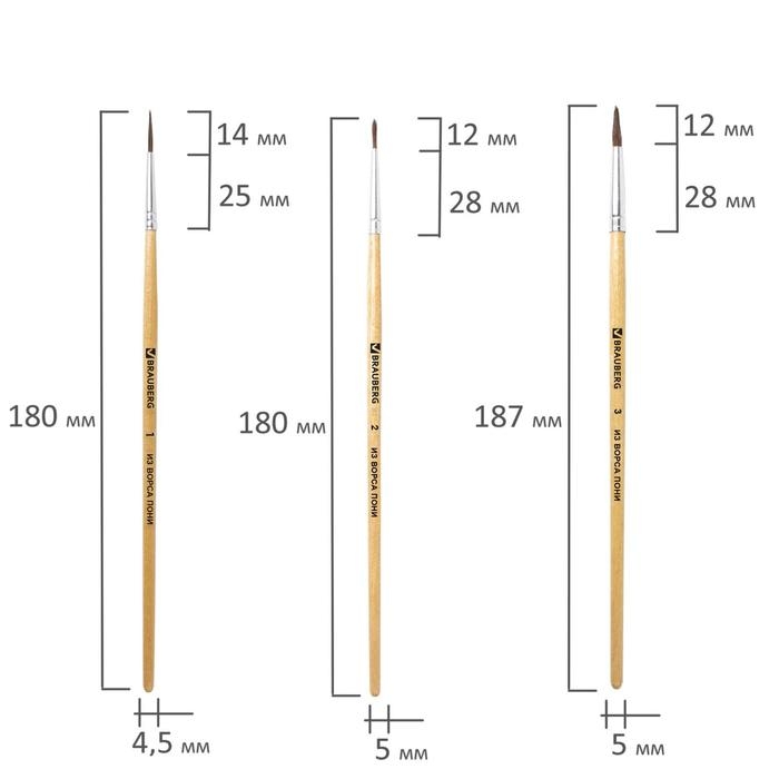 Набор кистей "Пони", 5 штук, BRAUBERG (круглые, № 1, 2, 3, 4, 5), блистер