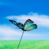 Штекер "Бабочка Винсетти "6х7см/25см, набор 10шт, МИКС Штекер "Бабочка Винсетти "6х7см/25см, набор 10шт, МИКС