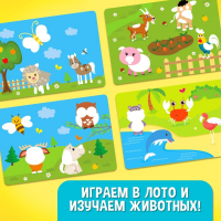 Настольная игра &laquo;Умное лото. Животные&raquo;, мемори, от 1 игрока, 3+