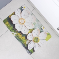 Коврик для дома Доляна Anemona, влаговпитывающий, 39&times;60 см