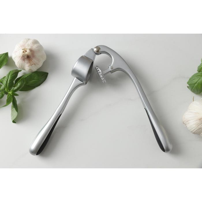 Пресс для чеснока Доляна &laquo;Идея&raquo;, 16,5 см