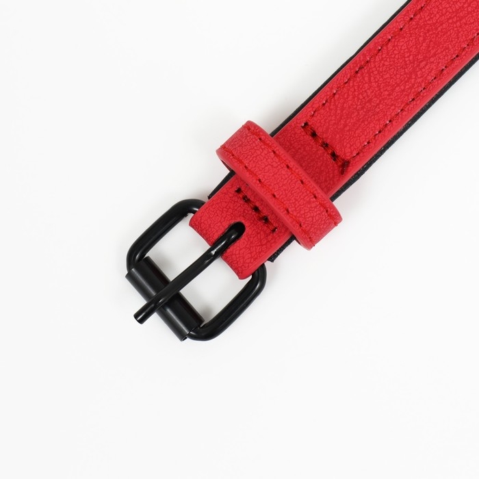 Ошейник с выносным кольцом Ошейник с выносным кольцом "Мона", 42 х 2 см, алый