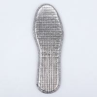 Стельки для обуви, утеплённые, двухслойные, фольгированные, окантовка, р-р RU 39 (р-р Пр-ля 41), 25,5 см, пара, цвет серый Стельки для обуви, утеплённые, двухслойные, фольгированные, окантовка, р-р RU 39 (р-р Пр-ля 41), 25,5 см, пара, цвет серый