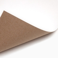 Картон белый, А4, 16 листов, немелованный, односторонний, в папке, 220, г/м², Минни Маус Картон белый, А4, 16 листов, немелованный, односторонний, в папке, 220, г/м², Минни Маус