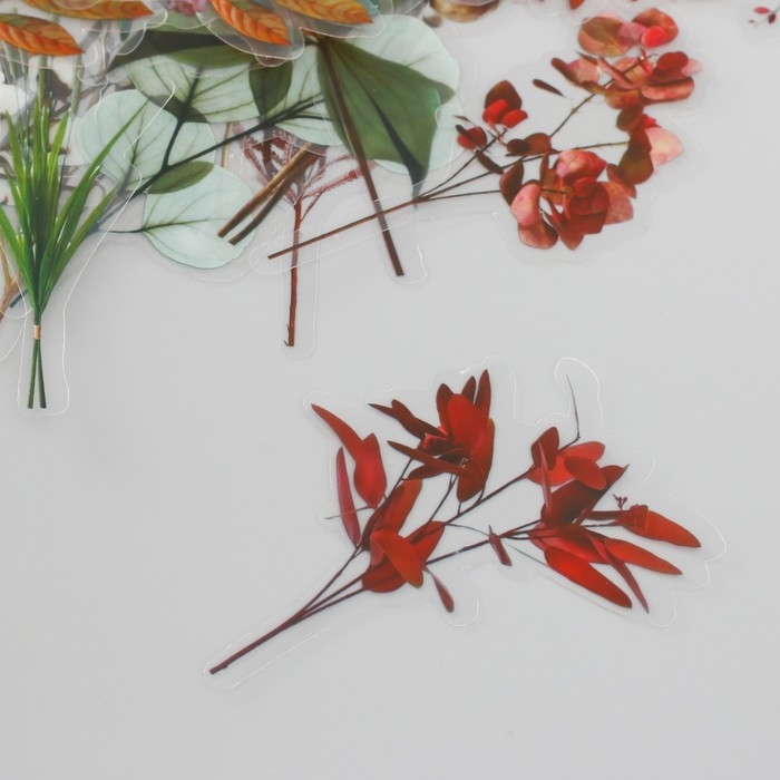 Наклейки для творчества пластик PVC "По лесным тропам" набор 40 шт 9х10.5 см