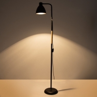 Торшер 19118/1BK E27 40Вт черный 23х159 см