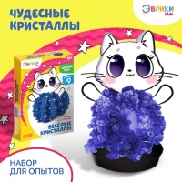 Набор для выращивания кристалла &laquo;Опыты. Чудесные кристаллы&raquo;, котик