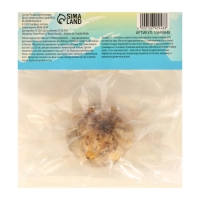 Рябчик императорский (Фритиллярия) Рубра, р-р 18/21, 1 шт, Осень 2024 Рябчик императорский (Фритиллярия) Рубра, р-р 18/21, 1 шт, Осень 2024