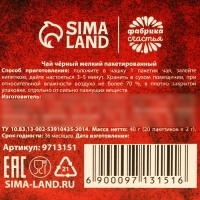 Новый год! Чай чёрный &laquo;Роскошь&raquo; в фильтр-пакетах, 20 шт.