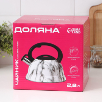 Чайник со свистком из нержавеющей стали Доляна &laquo;Скоттиш&raquo;, 2,8 л