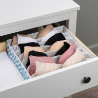 Органайзер для хранения белья Доляна &laquo;Лагуна&raquo;, 7 ячеек, 34&times;30&times;8 см, цвет бирюзовый