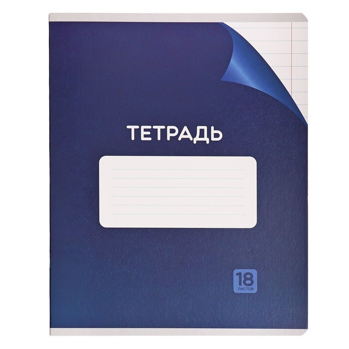 Комплект тетрадей из 10 штук, 18 листов в линию Calligrata "Однотонная Классика с уголком. Эконом", обложка мелованный картон, ВД-лак, блок №2, белизна 75% (серые листы), 5 видов по 2 штуки