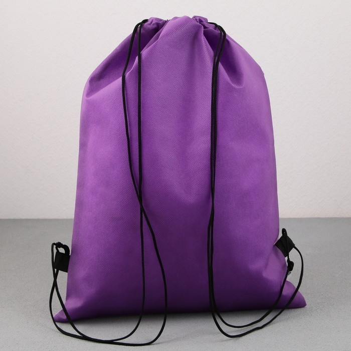 Мешок для обуви &laquo;Волшебная девочка с питомцем&raquo; нетканное полотно, размер 30 х 40 см