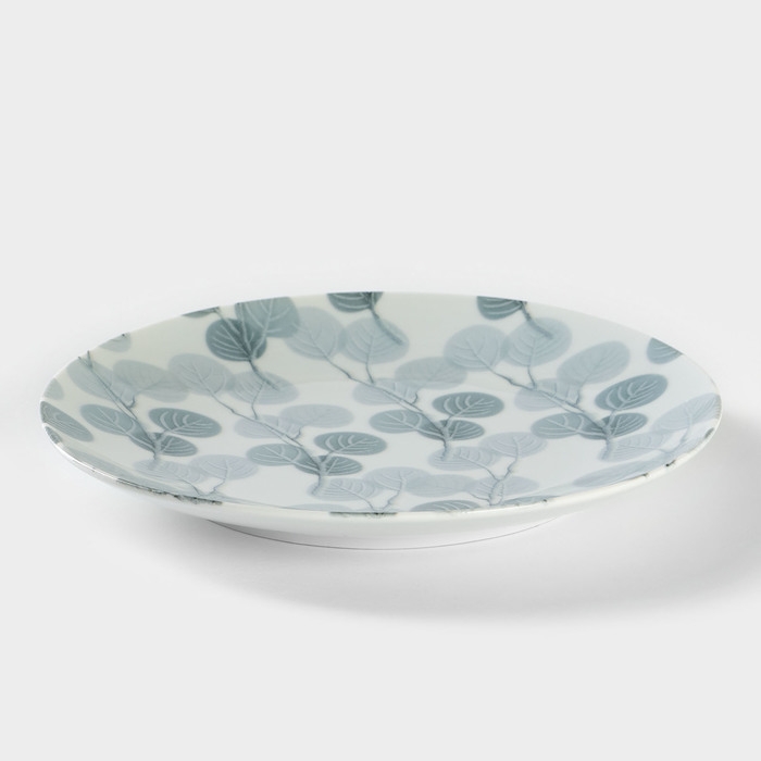 Тарелка фарфоровая &laquo;Витраж&raquo;, d=24 см