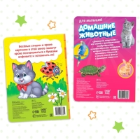Набор картонных книг «Для самых маленьких», 2 шт. Набор картонных книг «Для самых маленьких», 2 шт.