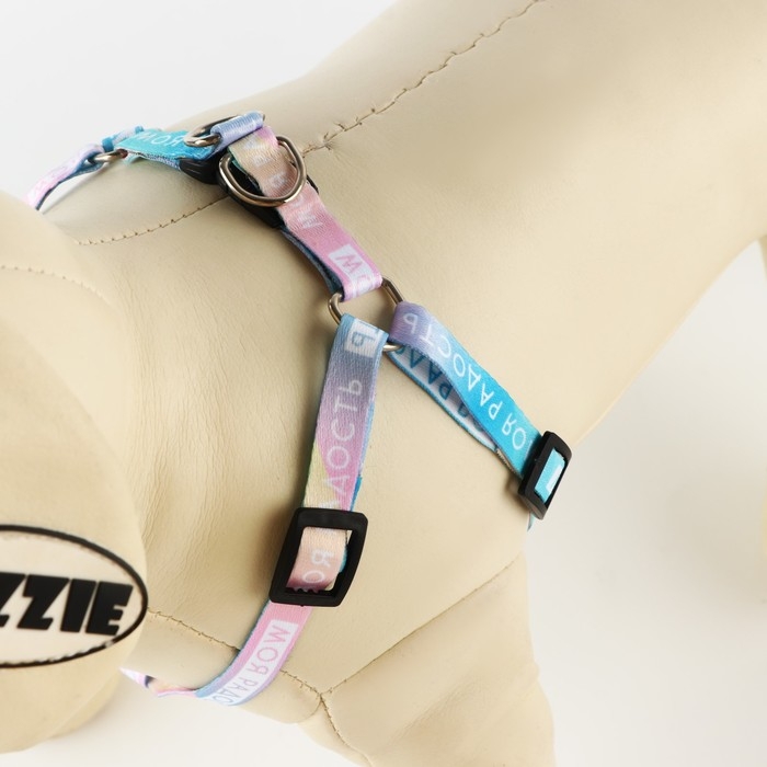 Комплект &laquo;Моя радость&raquo;, шлейка 24-36 см, поводок 120х1 см