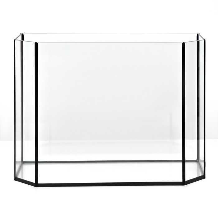 Аквариум Аквариум "Панорамный" без крышки, 30 литров, 46 х 20 х 33 см