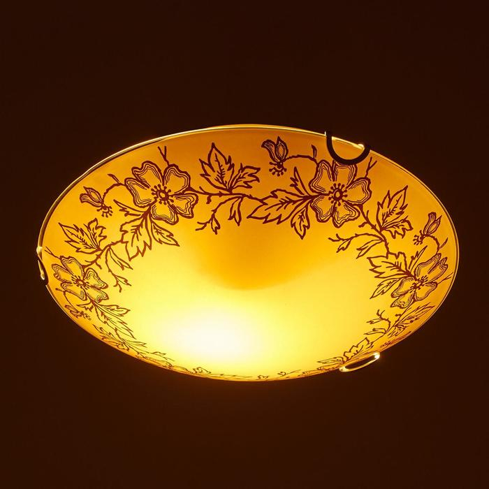 Светильник настенно-потолочный Светильник настенно-потолочный "Лара" E27 60Вт 25см.