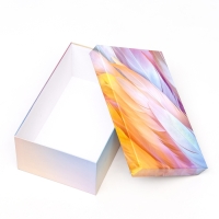 Коробка прямоугольная "Перья", 27 &times; 17 &times; 11 см