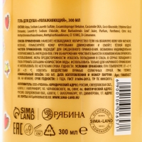 Гель для душа, увлажнение, 300 мл, аромат карамели, TeenBee