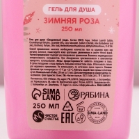 Подарочный набор ЧИСТОЕ СЧАСТЬЕ &laquo;Уютной зимы&raquo;: гель для душа 250 мл и мочалка для тела, Новый Год