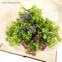 Букет "Алиссум с остролистом" 29 см, микс Букет "Алиссум с остролистом" 29 см, микс