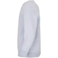 Свитшот детский Columbia Kids, серый меланж, на рост 130-140