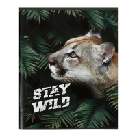 Комплект тетрадей из 4 штук, 96 листов в клетку Calligrata "Хищники", обложка мелованный картон, блок офсет Комплект тетрадей из 4 штук, 96 листов в клетку Calligrata "Хищники", обложка мелованный картон, блок офсет