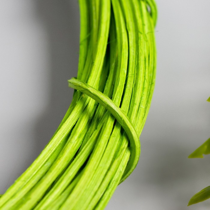 Кольцо ротанг для изготовления ловца снов Кольцо ротанг для изготовления ловца снов "Зелёный" d=30 см