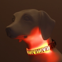 Ошейник с подсветкой Тигр 3 режима свечения размер М, ОШ 32-50 х 2,5 см оранжевый Ошейник с подсветкой Тигр 3 режима свечения размер М, ОШ 32-50 х 2,5 см оранжевый