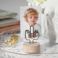 Ценникодержатель с зажимом &laquo;Кактус&raquo;, 4&times;4&times;5,5 см, цвет чернёное золото