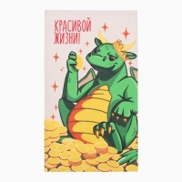 Новый год. Набор полотенец Доляна "Дракон удачи" 28х46 см - 2 шт, 100% хл, рогожка 164 г/м2