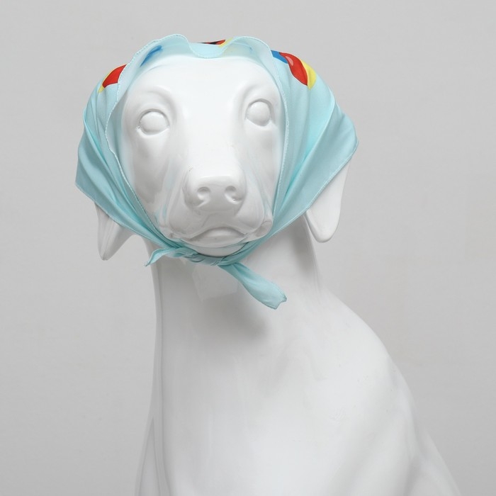 Платок для животных Платок для животных "С днём рождения", 15 х 12 х 1 см, голубой