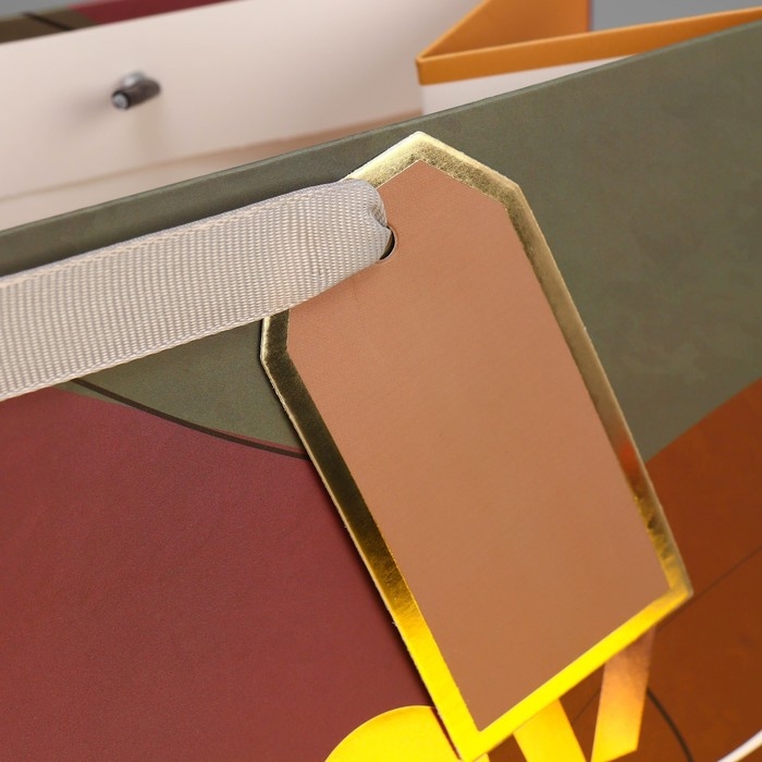 Пакет подарочный ламинированный, упаковка, «Счастье», 25.4 х 30.5 х 12.7 см Пакет подарочный ламинированный, упаковка, «Счастье», 25.4 х 30.5 х 12.7 см