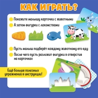 Развивающий набор &laquo;Покорми зверюшку&raquo;