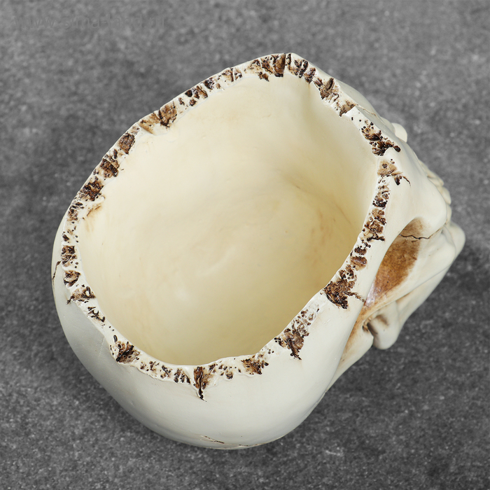 Конфетница Конфетница "Череп" 14х10х11см