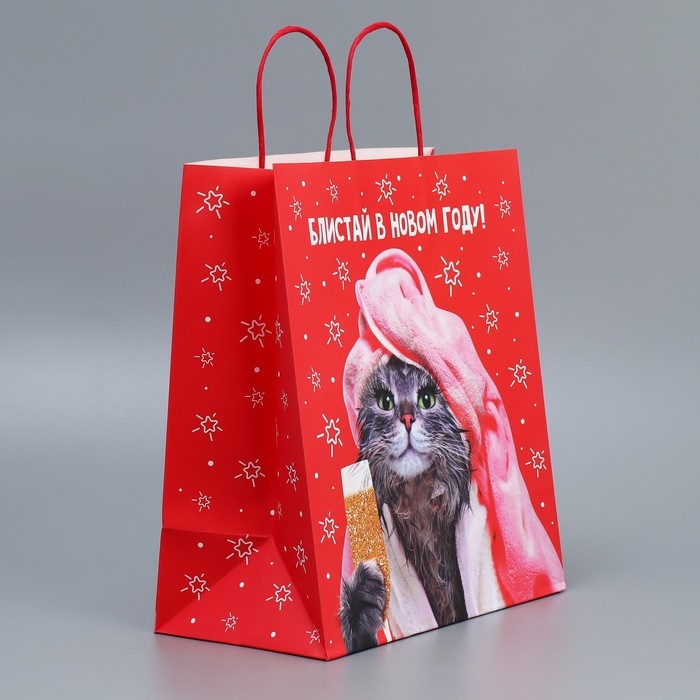 Пакет подарочный новогодний крафтовый &laquo;Блистай&raquo;, 28 х 32 х 15 см, Новый год