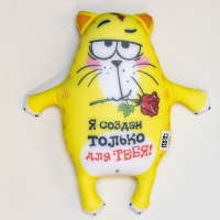 Мягкая игрушка-антистресс &laquo;Я создан только для тебя!&raquo;, Котэ