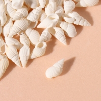 Ракушки природные декоративные "Риссоа белая" набор 100 гр Ракушки природные декоративные "Риссоа белая" набор 100 гр