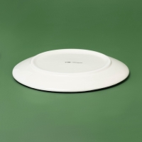 Тарелка новогодняя Доляна &laquo;Василиск&raquo;, 20,5&times;20,5&times;2 см