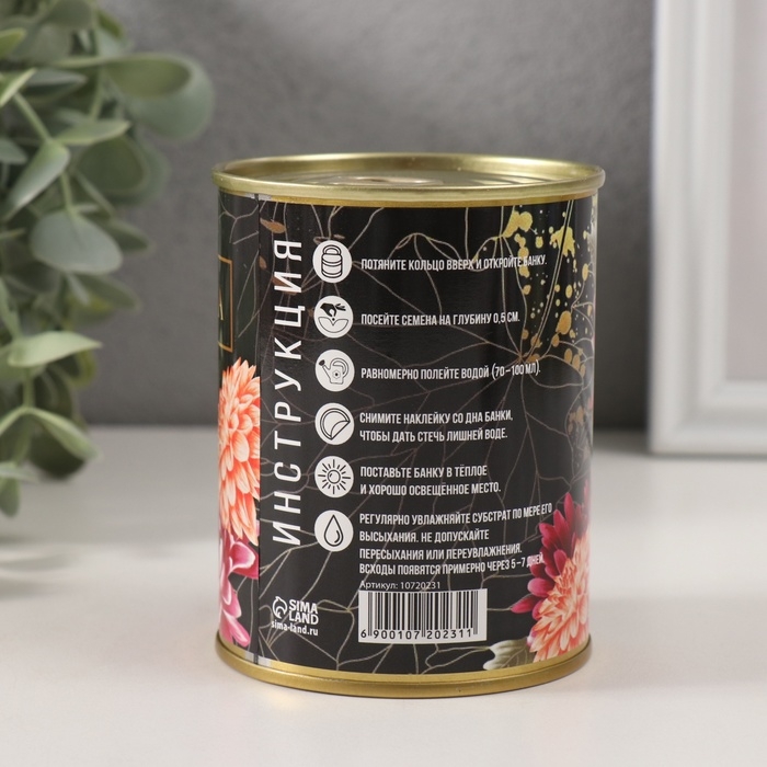 Растущая травка "Хризантема"