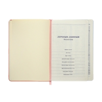 Ежедневник недатированный A5, 140л, клетка, кожзам, на резинке, бирюзовый срез, Розовый Ежедневник недатированный A5, 140л, клетка, кожзам, на резинке, бирюзовый срез, Розовый