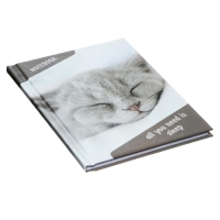 Блокнот А6, 40 листов в клетку "Спящий кот", твёрдая обложка, глянцевая ламинация, блок офсет