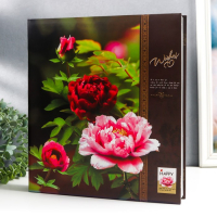 Фотоальбом на 500 фото 10х15 см "Пионы" золот.обв,объем.эл, в коробке МИКС 33,5х30,5х5,7 см Фотоальбом на 500 фото 10х15 см "Пионы" золот.обв,объем.эл, в коробке МИКС 33,5х30,5х5,7 см